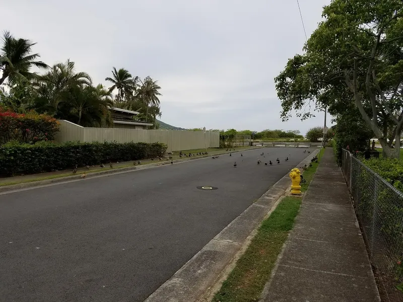 Maunalua Beach Clean Up
