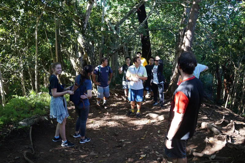 Hiking @ Na Al Hele: Maunalaha Trail