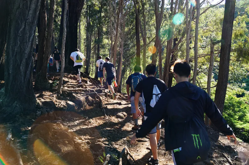 Hiking @ Na Al Hele: Maunalaha Trail