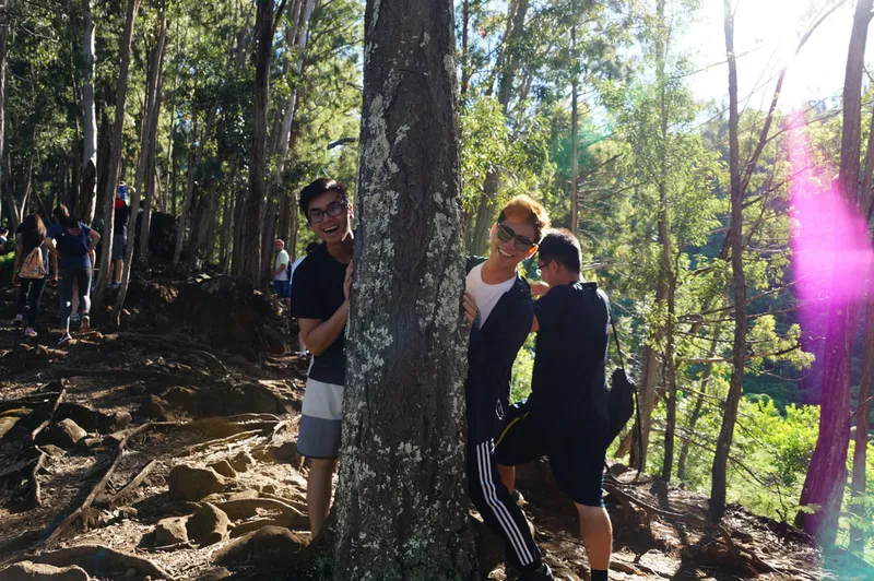 Hiking @ Na Al Hele: Maunalaha Trail