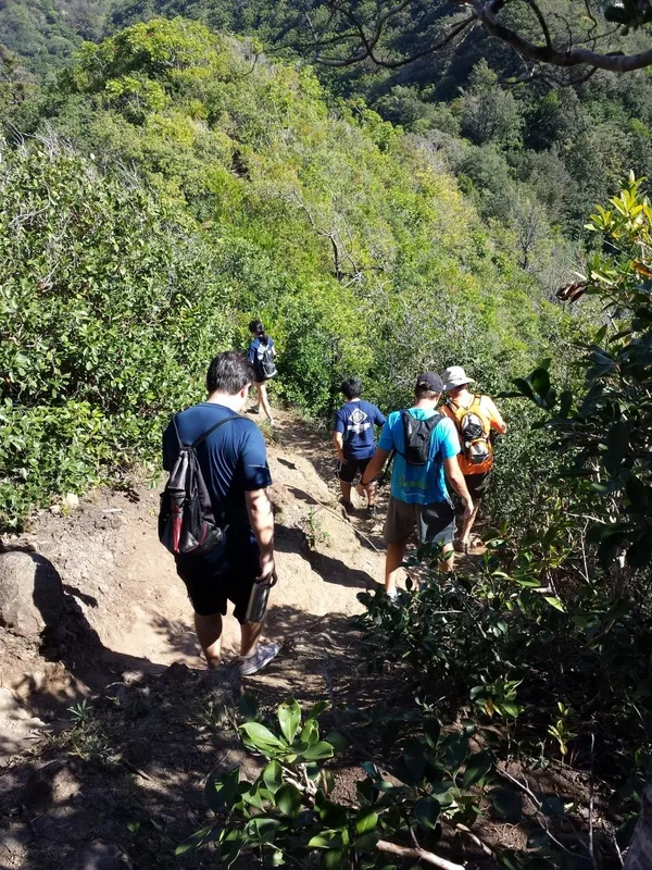 Hiking
