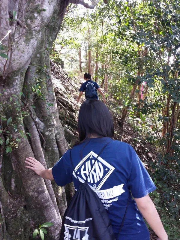 Hiking