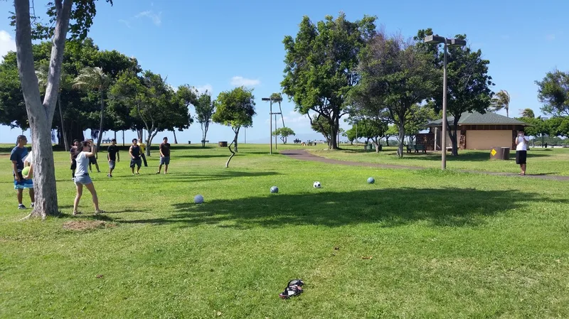 Officer Thank you Picnic