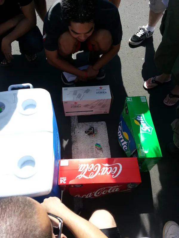 Pledge Picnic
