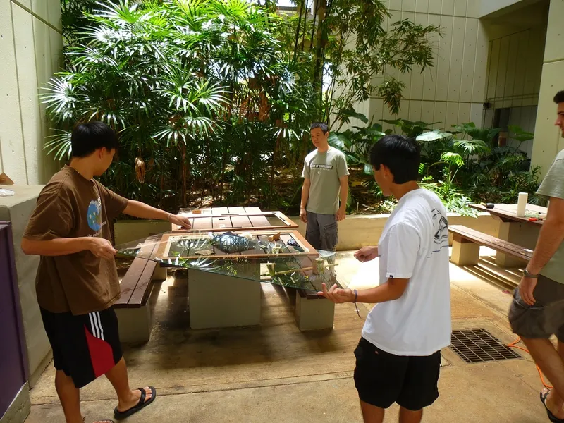 Trophy Case Building